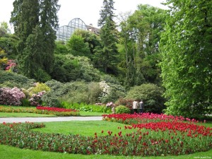 mainau_450