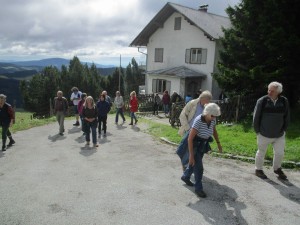 IMG 0181