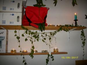 IMGP0031