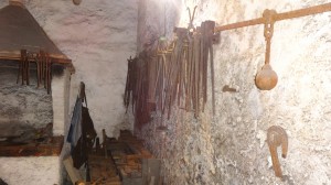 DSC02546
