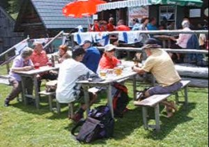 Rast auf Alm