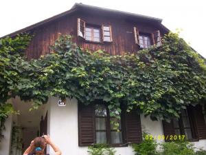 IMGP5396