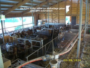 IMGP4758